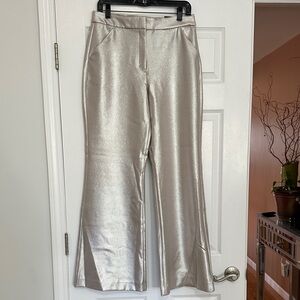 Express Shimmering Silver/Champagne Flare Pants